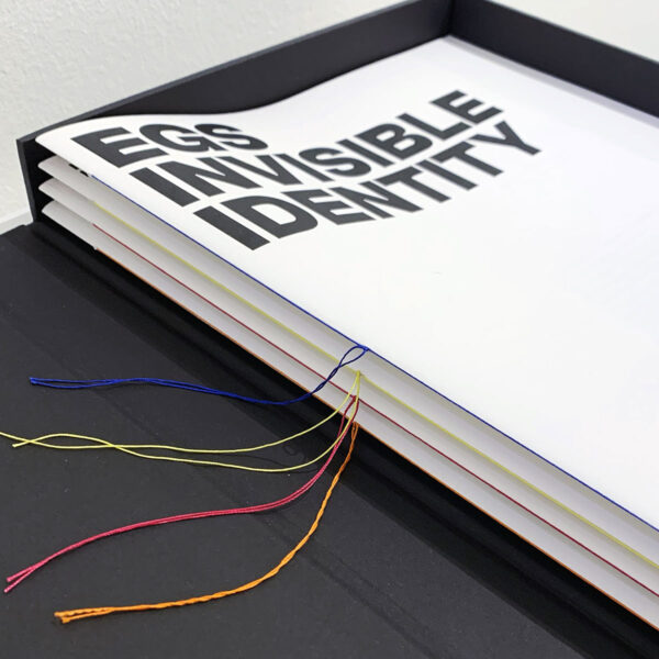 egs-invisbile-idenity-280C0DFF-B33E-41D1-B8EF-F59C18AAB3A0_1_201_a
