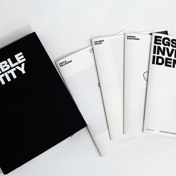 egs-invisbile-idenity-7A057747-1550-43E6-AEC1-0A6F73C21EBC_1_201_a