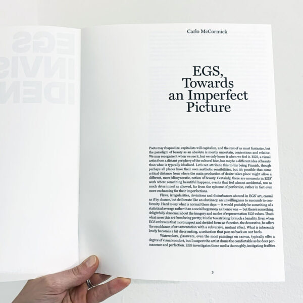 egs-invisbile-idenity-B89F0152-FABC-4C82-BF6F-EAC7D672D5FA_1_201_a