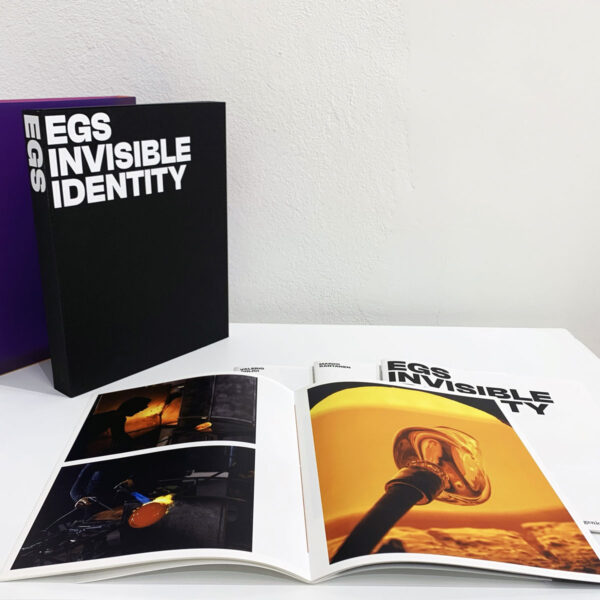 egs-invisbile-idenity-E25D4D82-B000-4508-A542-17E02F32EBA8_1_201_a