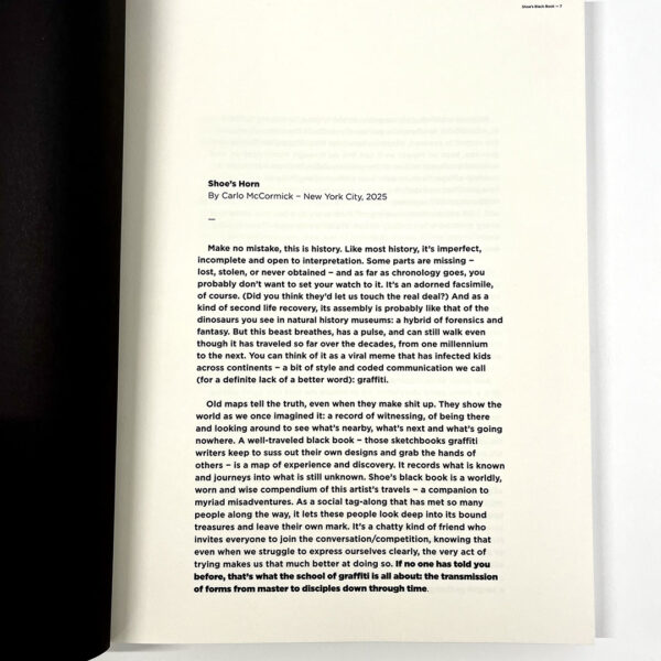 shoes-black-book_IMG_5452